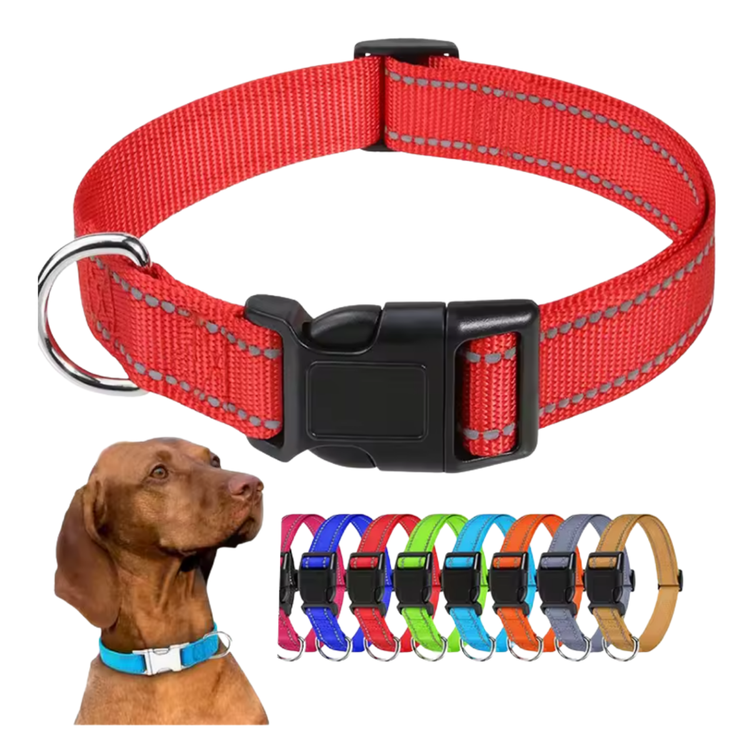 Collar Reflectante Ajustable Paseos Nocturnos Para Perros