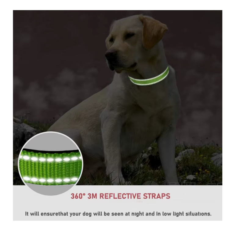 Collar Reflectante Ajustable Paseos Nocturnos Para Perros