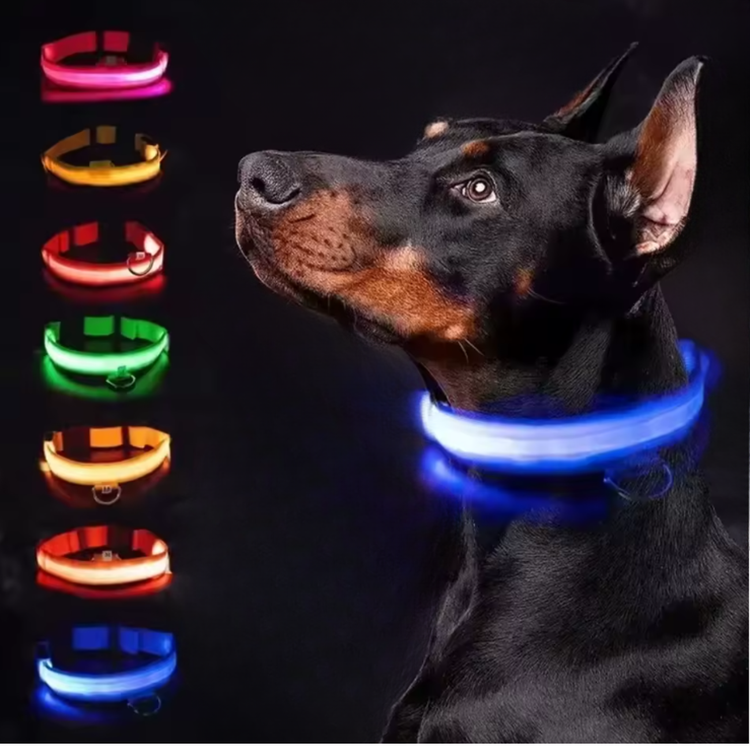 Collar LED Para Perros y Gatos Naranjo