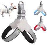 Imagen de producto Arnes tipo Y L Negro