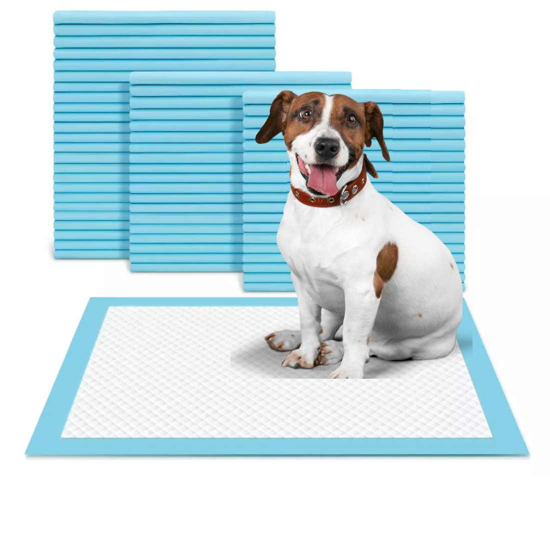 Perro-sabanillas-principal