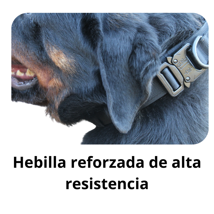 Collar táctico para perros