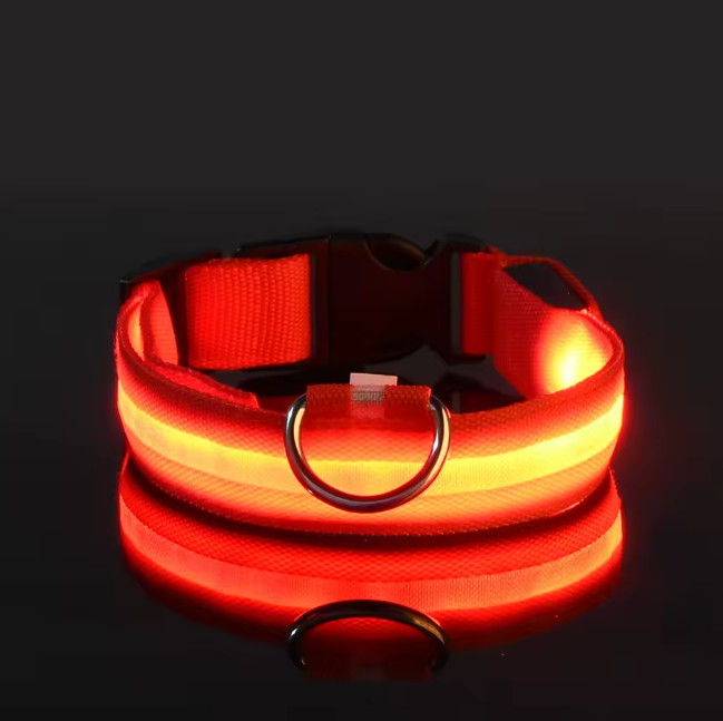 Collar LED Luminoso para Perros | Recargable USB, Ajustable color Naranjo