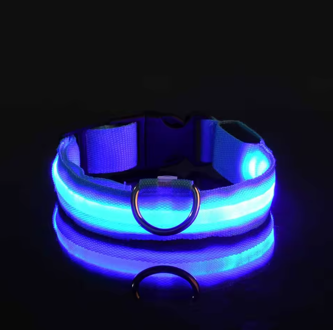 Collar LED Para Perros y Gatos Azul
