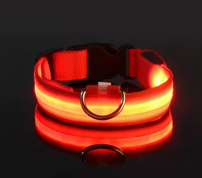 Collar LED Para Perros y Gatos Naranjo