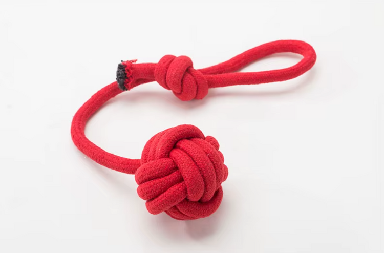 Juguete pelota cuerda doble nudo perro