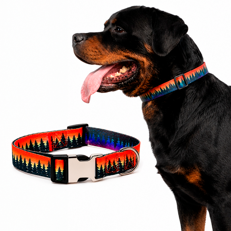 Imagen de producto Collar diseño aventurero Naranja 