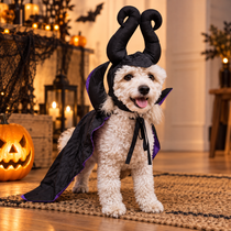 Perro con disfraz halloween