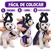 Instrucciones disfraz halloween perro