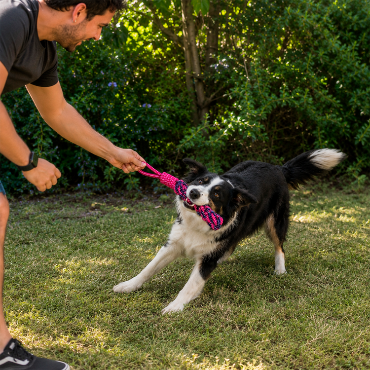 Juguete pelota cuerda tipo trenza perro
