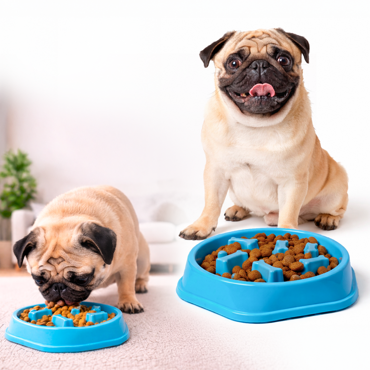 Plato Comedero Lento para Perros | Diseño Antideslizante con Huesitos